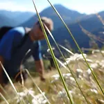 Meins Kals-am Großglockner