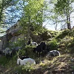 Σπίτι διακοπών Meins Kals-am Großglockner