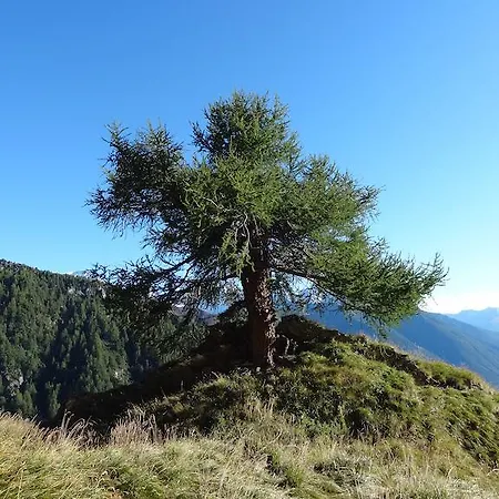 Meins Kals-am Großglockner