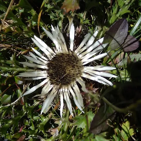 Meins Semesterbostad