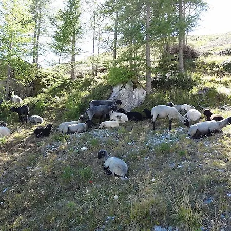 Semesterbostad Meins *