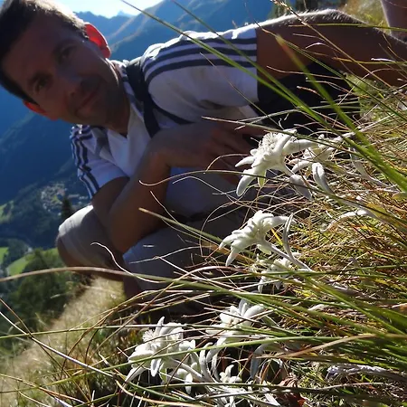 Meins * Kals-am Großglockner