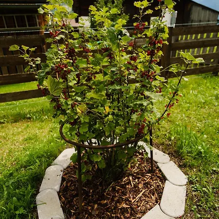 Meins Kals-am Großglockner