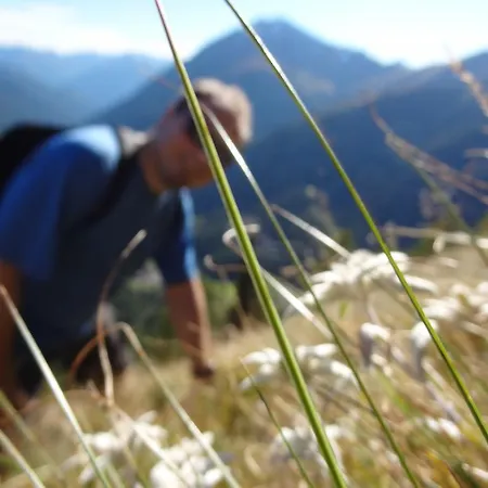 Meins Kals am Grossglockner