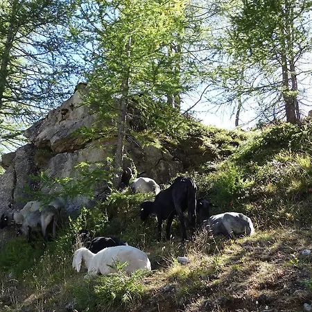 Dom wakacyjny Meins Kals-am Großglockner