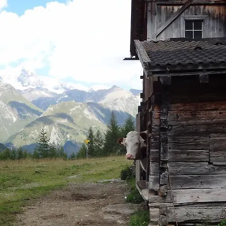 美恩斯度假屋 * Kals-am Großglockner