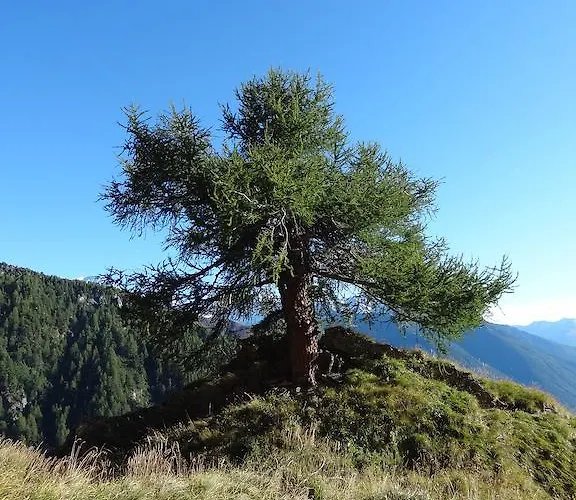 美恩斯度假屋 Kals-am Großglockner