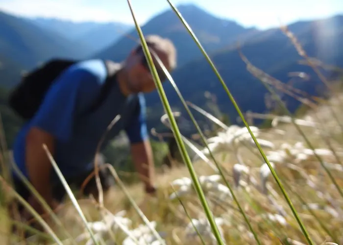 美恩斯度假屋 Kals-am Großglockner