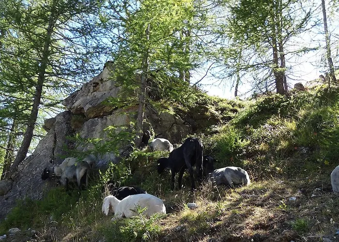 度假居 美恩斯度假屋 Kals-am Großglockner