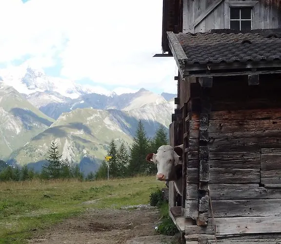 美恩斯度假屋 * Kals-am Großglockner