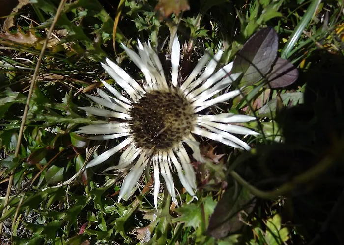 美恩斯度假屋 度假居