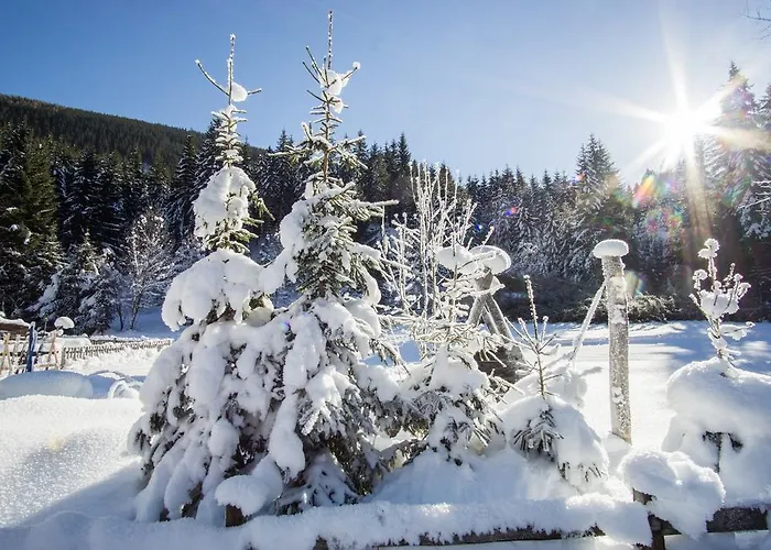 美恩斯度假屋 度假居 Kals-am Großglockner