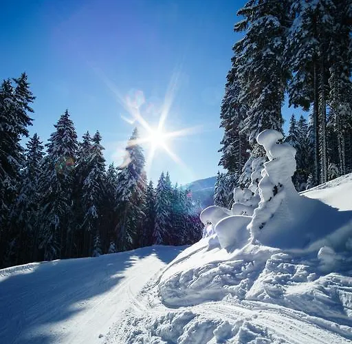 度假居 美恩斯度假屋 *