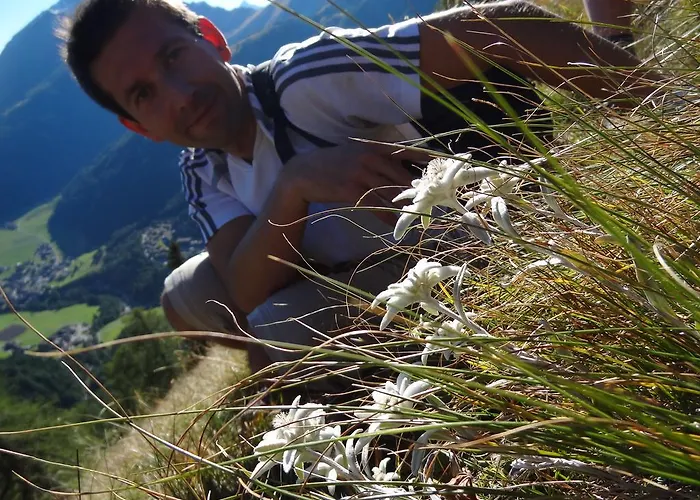 美恩斯度假屋 * Kals-am Großglockner