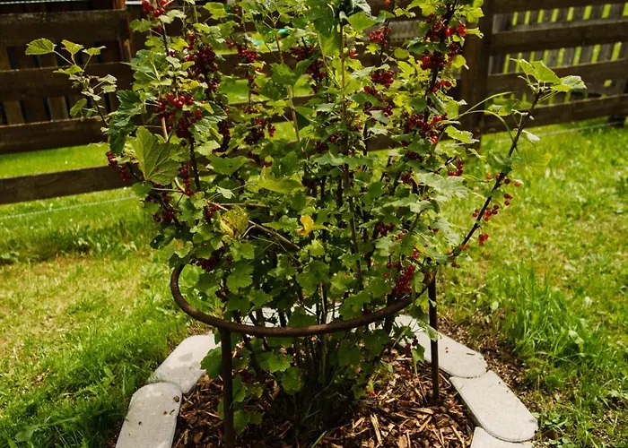 美恩斯度假屋 Kals-am Großglockner