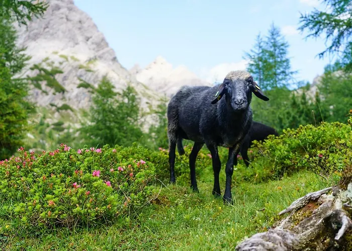 美恩斯度假屋 度假居 *