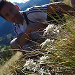 Meins * Kals-am Großglockner