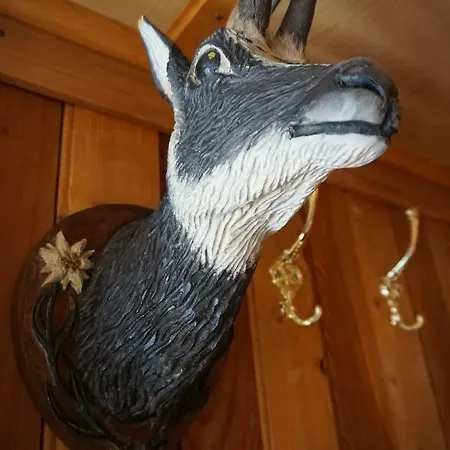 Ferienhaus Meins *